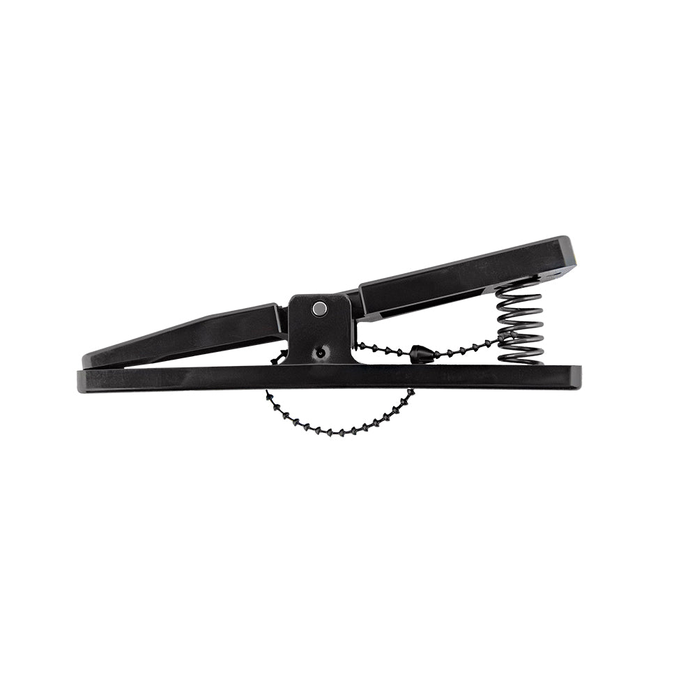 Protégé™️ Triangle Clip